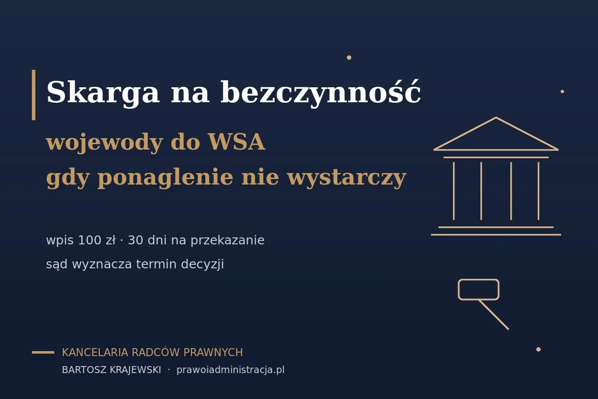 شكوى التقاعس ضد الفويفودا أمام WSA — متى تُقدَّم وكم تكلّف (2026)